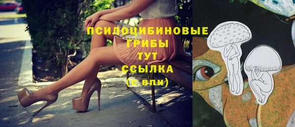 ECSTASY Богородицк