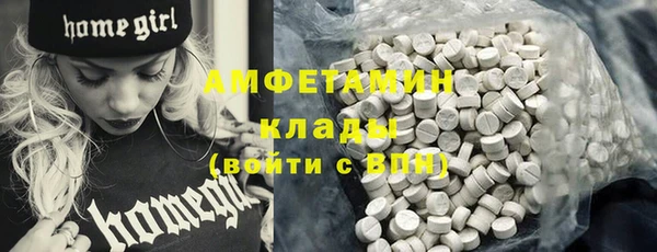 ECSTASY Богородицк
